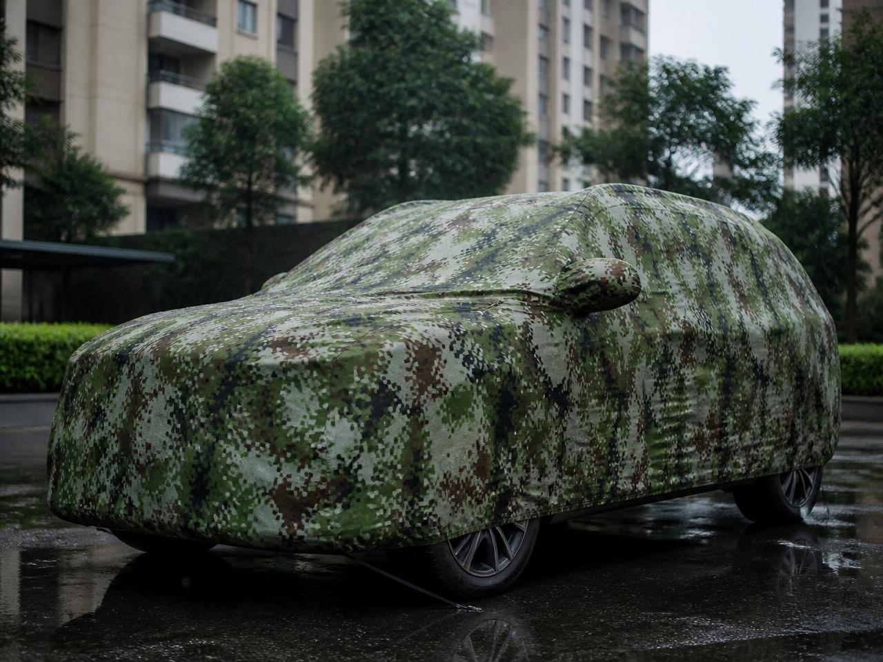 Car covered in Alpine